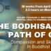 The Bodhisattva Path of Care