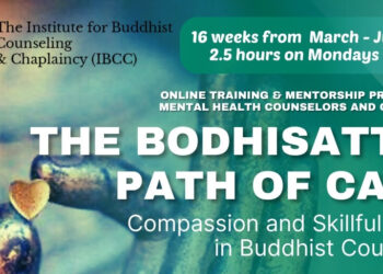 The Bodhisattva Path of Care