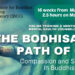 The Bodhisattva Path of Care