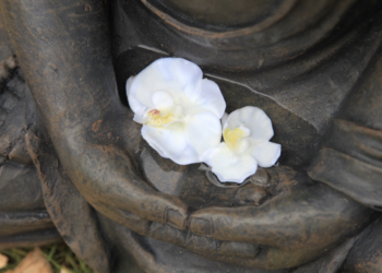 The Institute for Buddhist Counseling & Chaplaincy (IBCC)