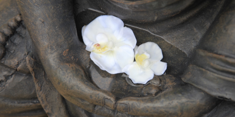 The Institute for Buddhist Counseling & Chaplaincy (IBCC)