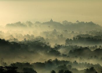 “No Birth No Death”: A Training Workshop for Care Professionals on Facing Death, Suicide Prevention, and Buddhist Counseling