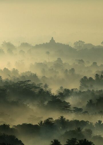 “No Birth No Death”: A Training Workshop for Care Professionals on Facing Death, Suicide Prevention, and Buddhist Counseling