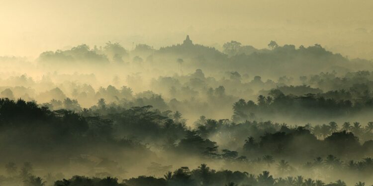 “No Birth No Death”: A Workshop on Facing Death, Suicide Prevention, and Buddhist Counseling