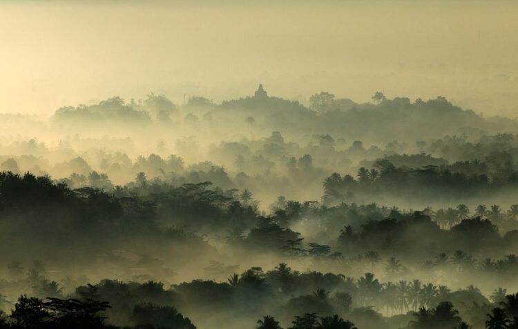 “No Birth No Death”: A Training Workshop for Care Professionals on Facing Death, Suicide Prevention, and Buddhist Counseling